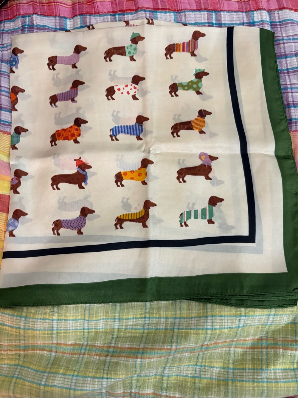 Multicolor Dachshund Print Silk Scarf with Green Border